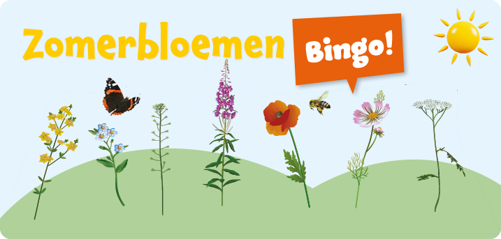 CodeD_Header_zomerbloemenbingo